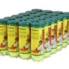 Wilson Championship Tennis Balls Regular Duty 24/Case 2 Wilson Championship Tennis Balls Regular Duty 24/Case -Pickleball Equip Store wilson championship tennis balls regular duty 24 c