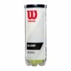 Wilson Wilson Grand Slam All Court Single Can 1 Wilson Wilson Grand Slam All Court Single Can -Pickleball Equip Store wilson wilson grand slam all court single can