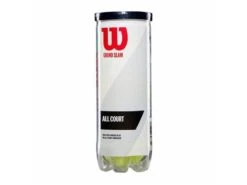 Wilson Wilson Grand Slam All Court Single Can